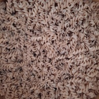 fusilli_20260420_091419